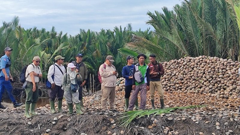 IRJEN DAN DIRJENBUN KEMENTERIAN PERTANIAN PERIKSA BIBIT KELAPA DALAM SIAP SALUR