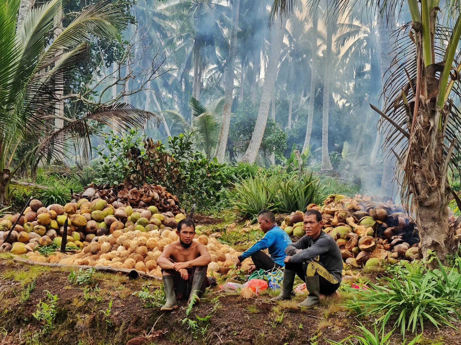 Pekebun Indragiri Hilir
