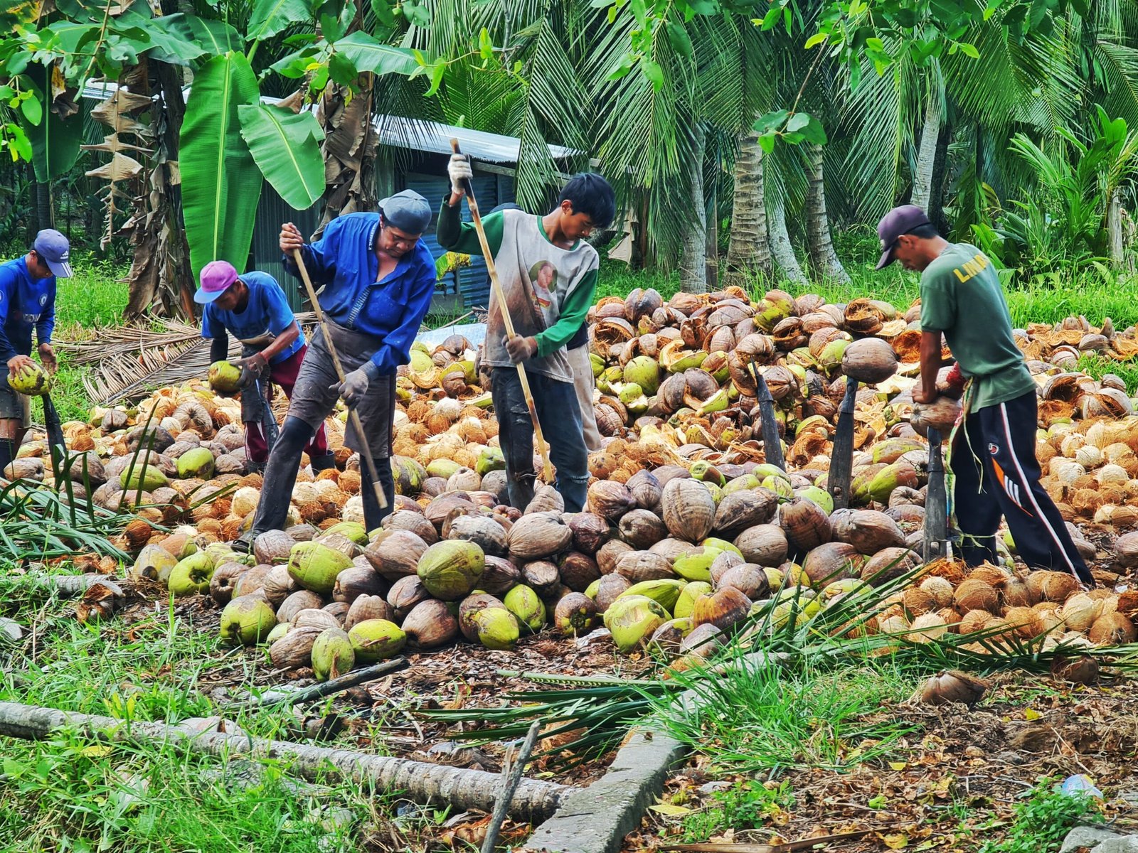 Hasil perkebunan