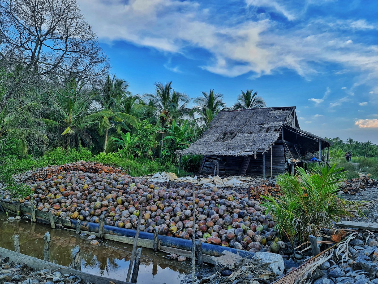 Dokumentasi perkebunan