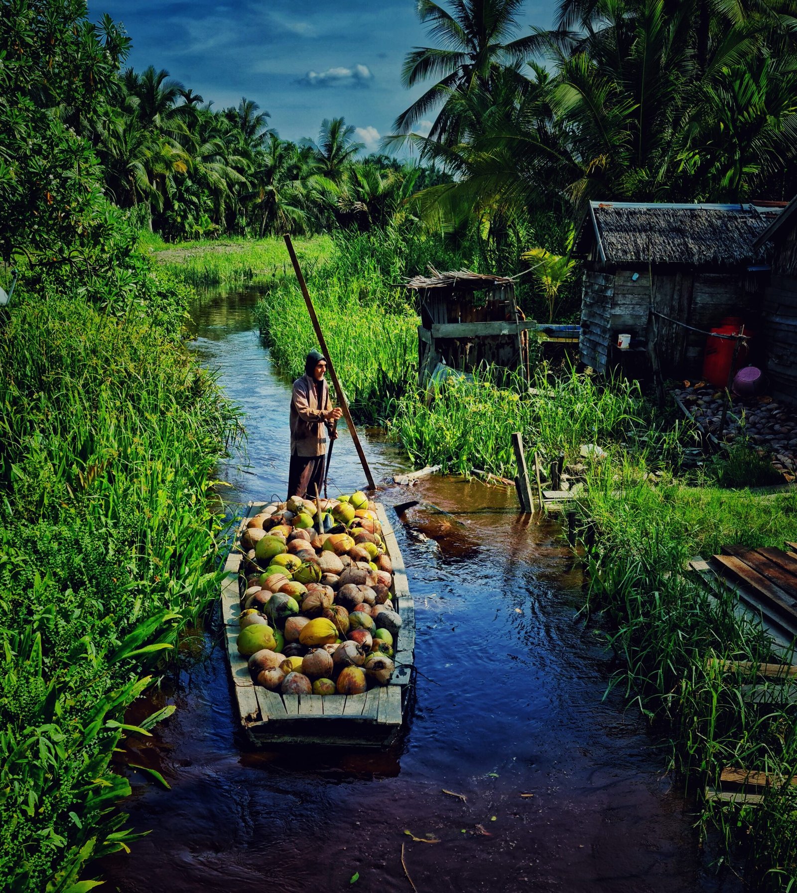 Aktivitas perkebunan di Indragiri Hilir