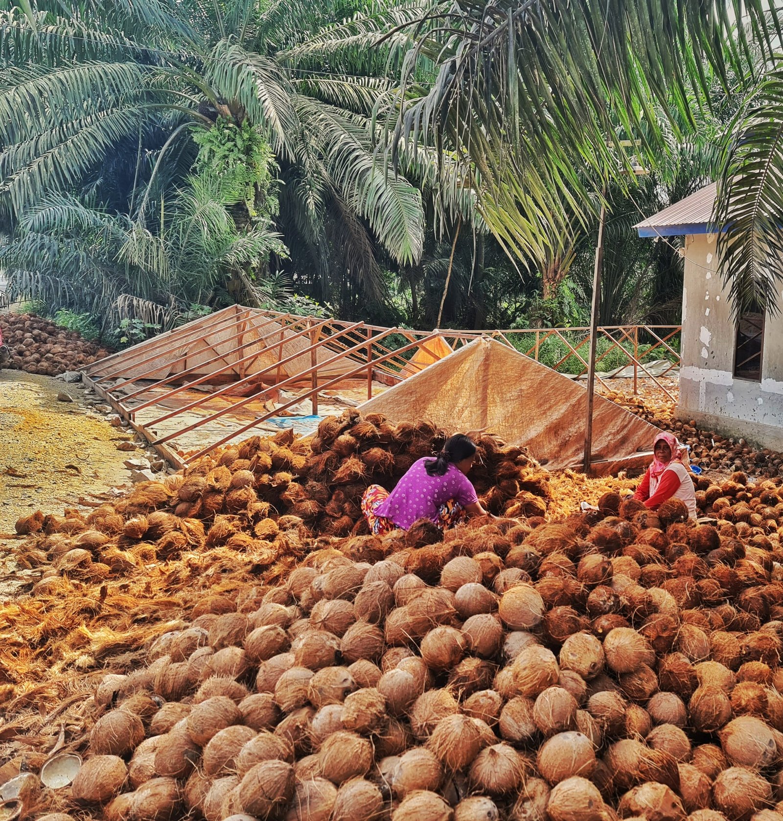 Aktivitas kebun
