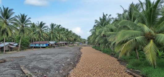 INDRAGIRI HILIR, NEGERI HAMPARAN KELAPA DUNIA