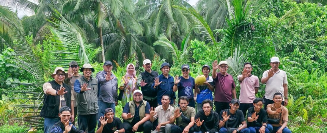 TIM HILIRISASI KELAPA KUNJUNGI SUMBER BENIH UNGGUL KELAPA DI KABUPATEN INDRAGIRI HILIR